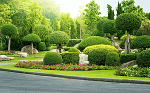 Трёхуровневое озеленение