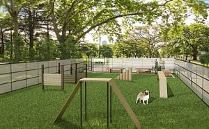 Отдельная зона для выгула собак