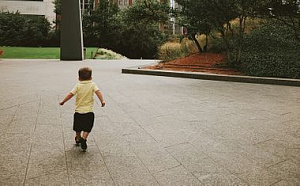 Дворы без машин